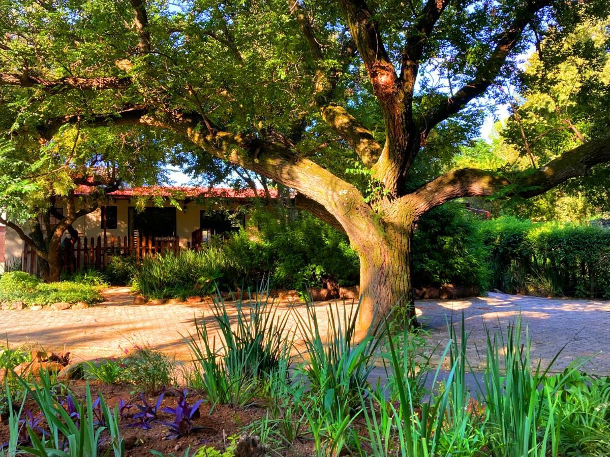 Pine Valley Chalet *
